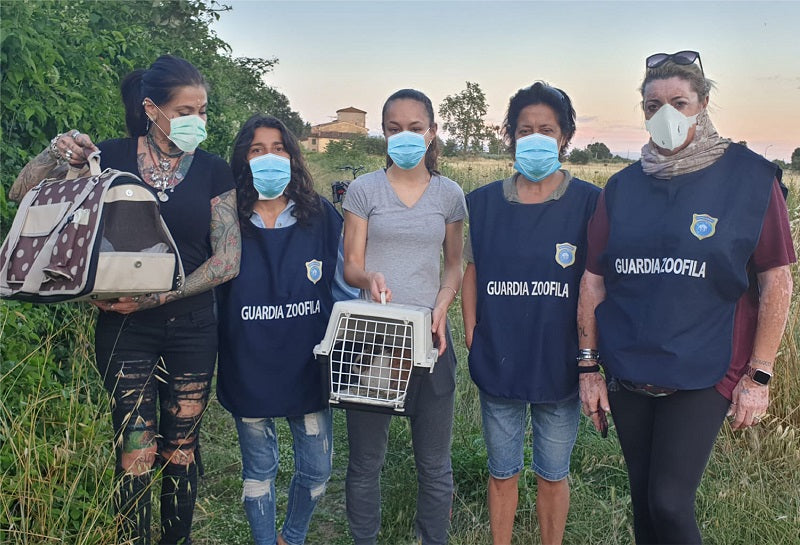 Li hanno lasciati in un campo, come fossero spazzatura